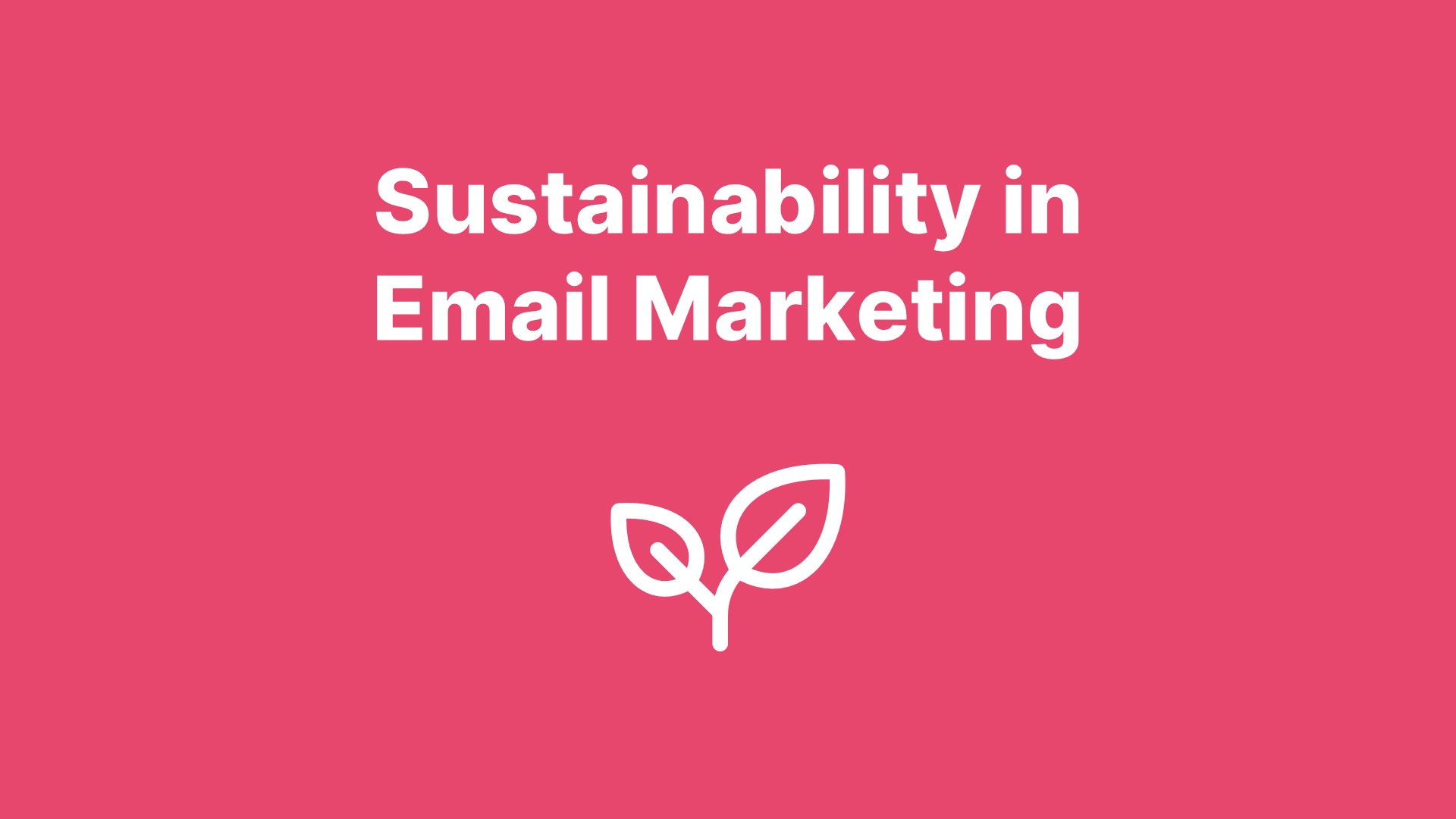 🌱 Sustainability in Email Marketing