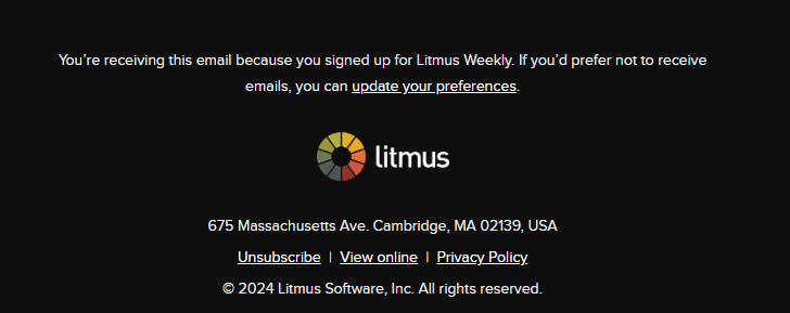 Example of web version link in Litmus Email